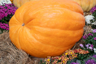 Similar image 21460137