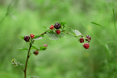 Similar image 21454327