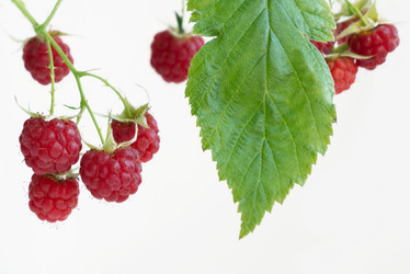 Similar image 21452412