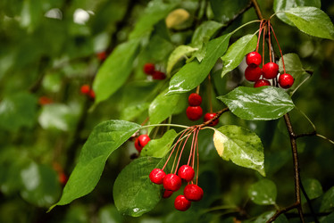 Similar image 21454331