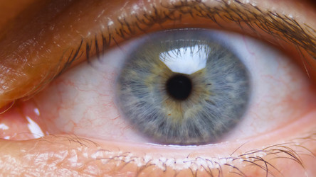 Similar image 21456136