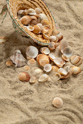 Similar image 21456300