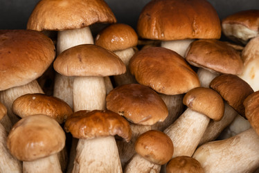 Similar image 21462630