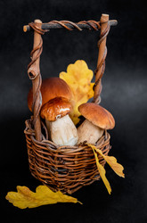 Similar image 21460139