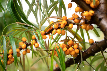 Similar image 21460140