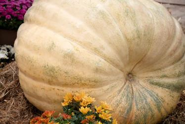 Similar image 21467666