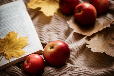 Similar image 21462632