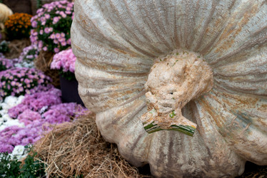 Similar image 21462665