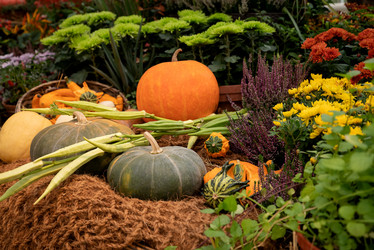 Similar image 21467670