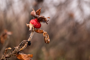 Similar image 21460145