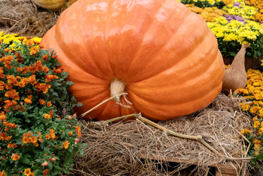 Similar image 21460147