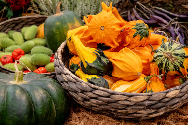 Similar image 21460148