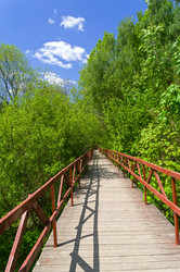 Similar image 21452001