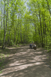 Similar image 21452004