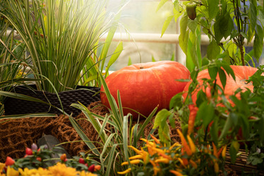 Similar image 21467671