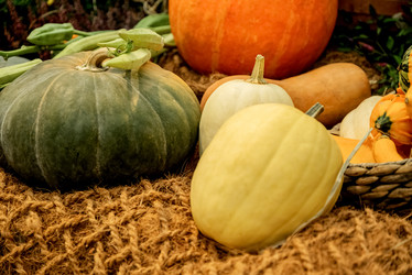 Similar image 21462667