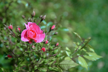 Similar image 21454592