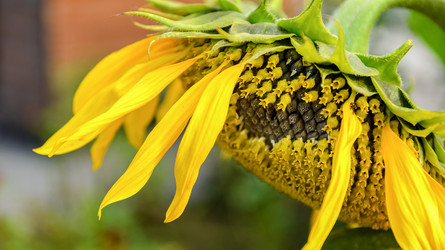 Similar image 21462668