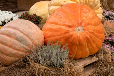 Similar image 21459636