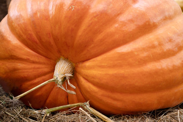 Similar image 21465671