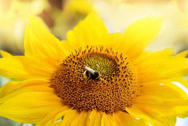 Similar image 21454339