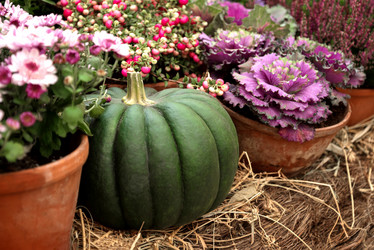 Similar image 21465672