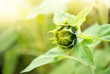 Similar image 21456308