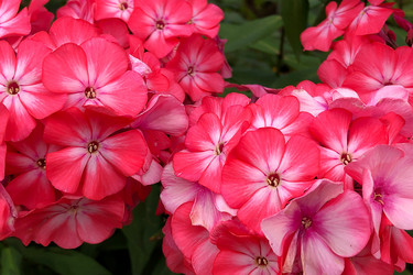 Similar image 21454342