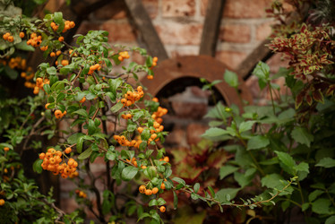 Similar image 21456310