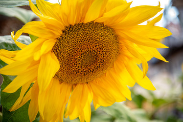 Similar image 21459638