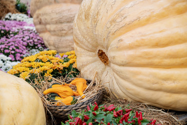 Similar image 21465675