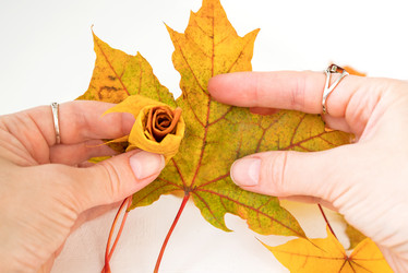 Similar image 21452414