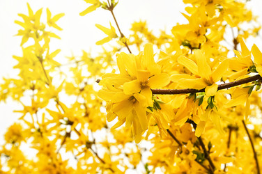 Similar image 21454344