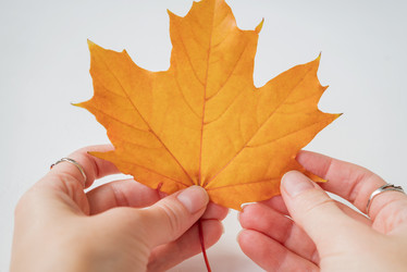 Similar image 21452420