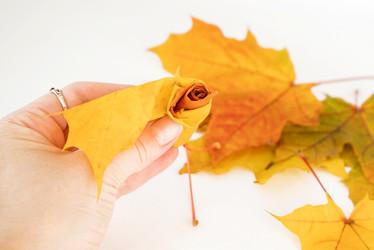 Similar image 21452421