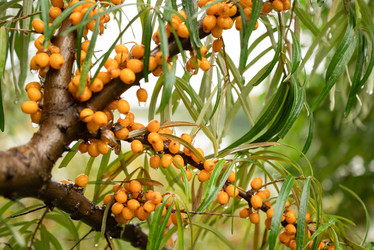 Similar image 21456311