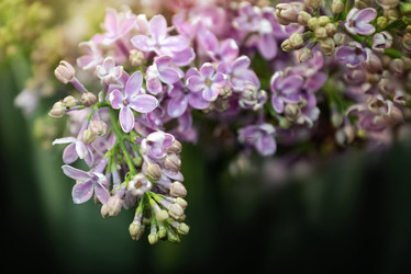 Similar image 21454354