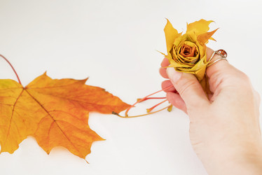 Similar image 21452422