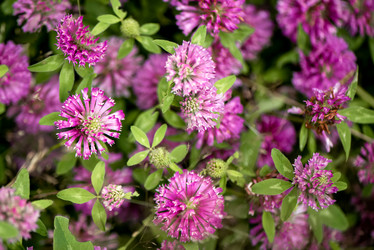 Similar image 21454360