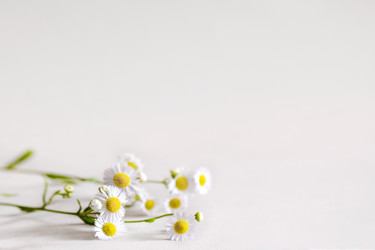 Similar image 21454362