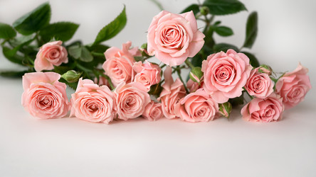 Similar image 21460150