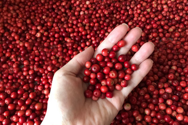 Similar image 21454366