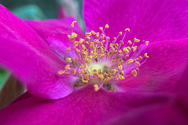 Similar image 21454367