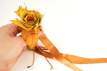 Similar image 21452425