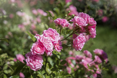 Similar image 21454368