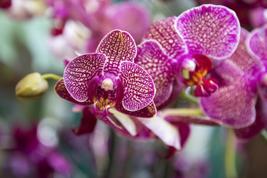 Similar image 21454369