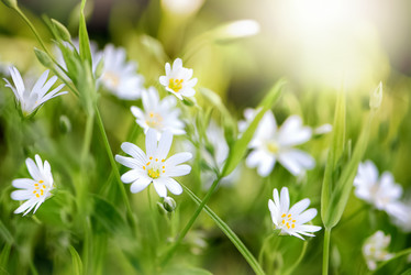 Similar image 21452427