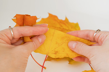 Similar image 21452429