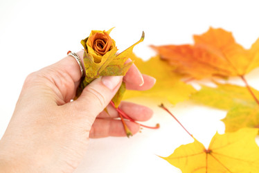 Similar image 21452432