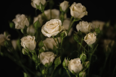 Similar image 21460152